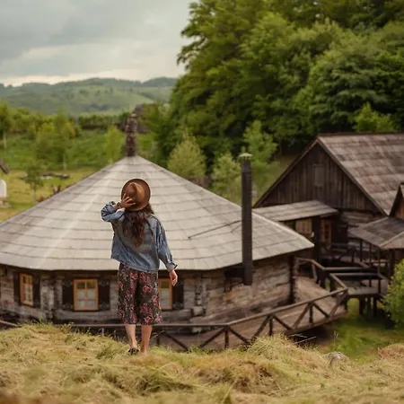 Raven's Nest - The Hidden Village, Transylvania - Romania Guest house *