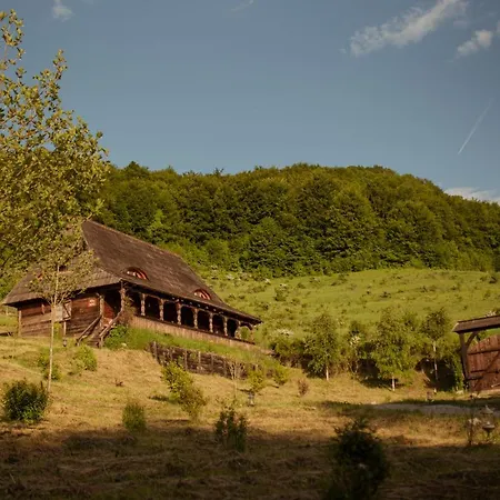Guest house Raven's Nest - The Hidden Village, Transylvania - Romania Sub Piatra
