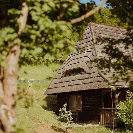 Raven's Nest - The Hidden Village, Transylvania - Romania Guest house Sub Piatra