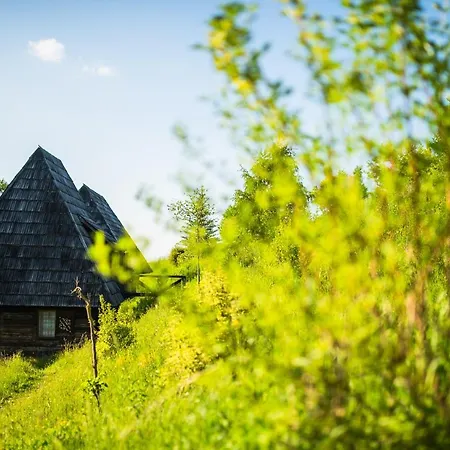 Raven's Nest - The Hidden Village, Transylvania - Romania *
